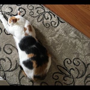 Meet your Posher, Mary